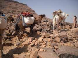 Maroc titre